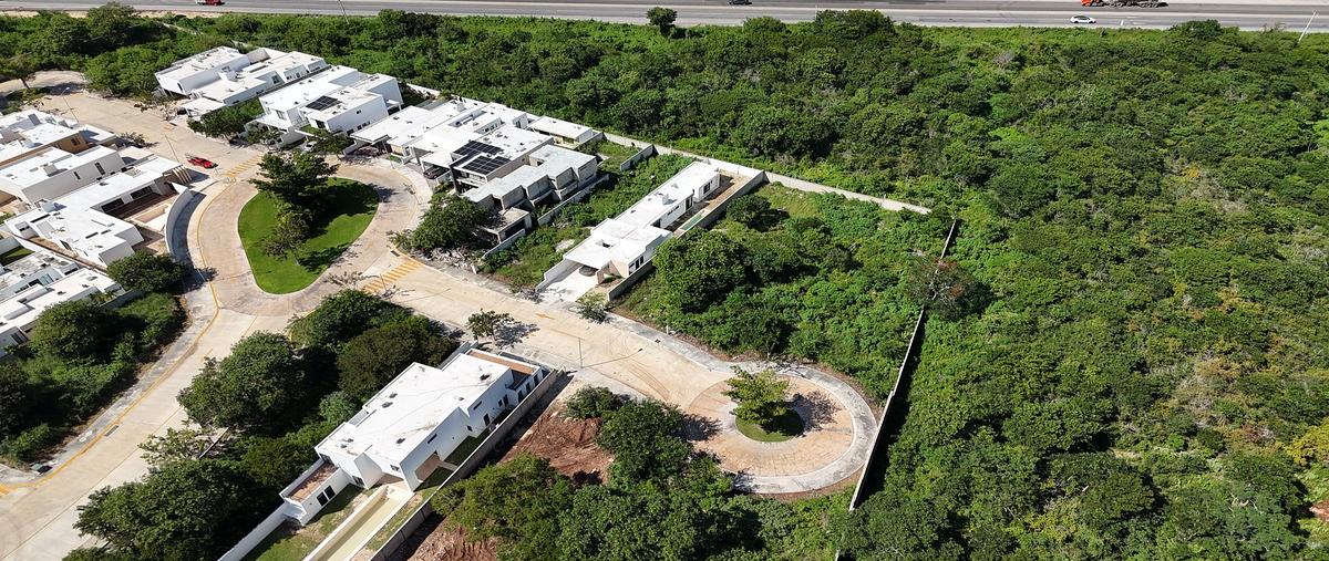 Foto de terreno habitacional en 1 , conkal, conkal, yucatán, 0 foto 03 Foto de terreno habitacional en venta en 1 , conkal, conkal, yucatán, 0 No. 03