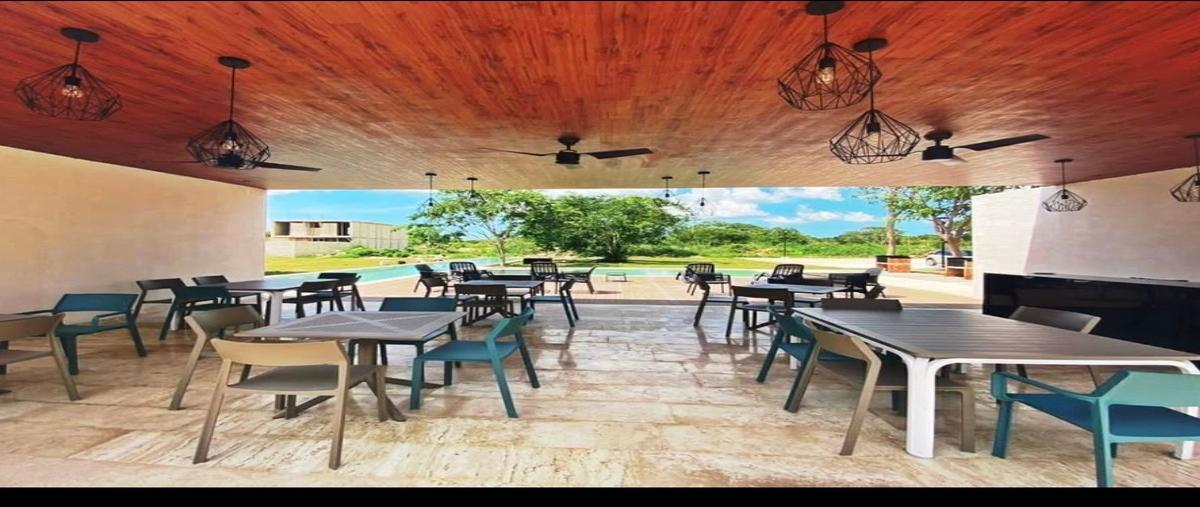 Foto de terreno habitacional en venta en 1 , conkal, conkal, yucatán, 0 No. 05