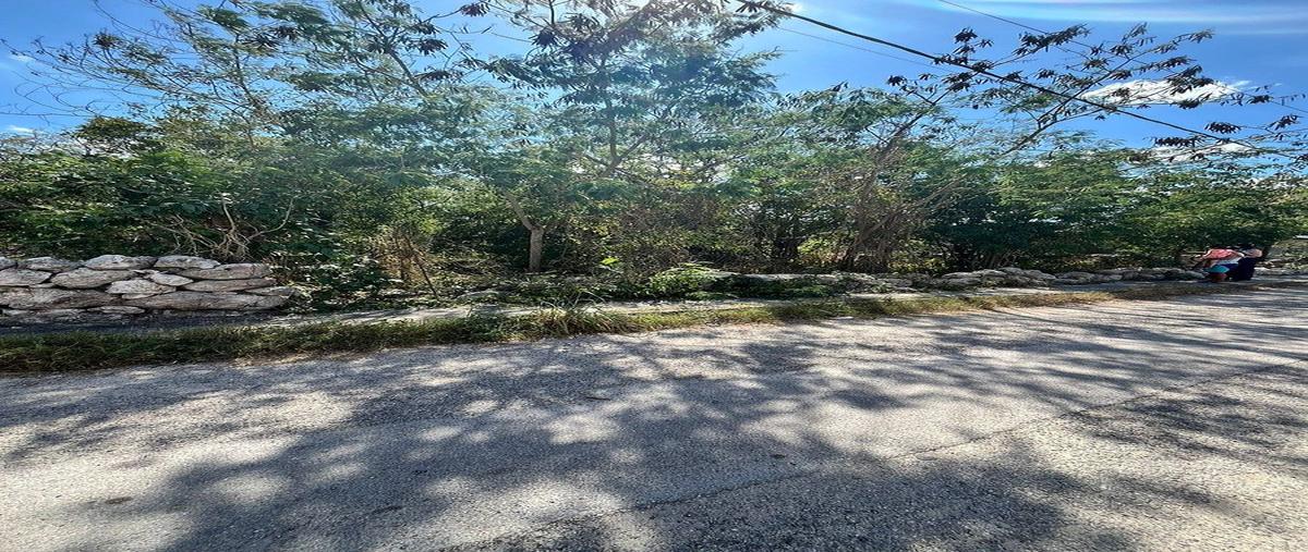Foto de terreno habitacional en venta en 1 , cosgaya, mérida, yucatán, 0 No. 03