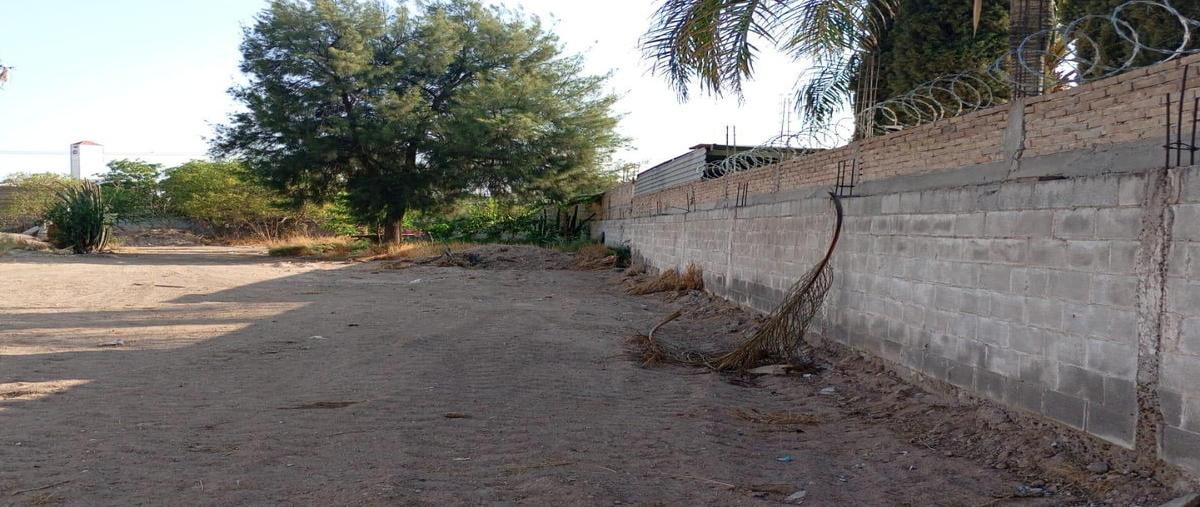 Foto de terreno habitacional en venta en  , 1 de mayo, lerdo, durango, 0 No. 04