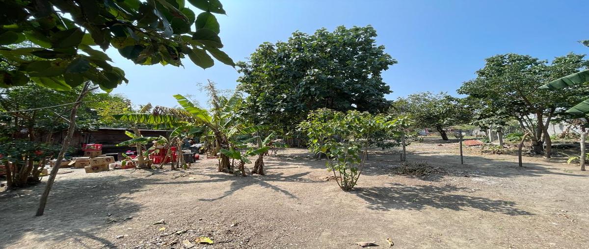 Foto de terreno habitacional en venta en 1 de mayo , primero de mayo, pueblo viejo, veracruz de ignacio de la llave, 26185343 No. 03