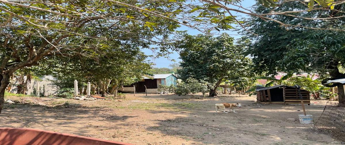 Foto de terreno habitacional en venta en 1 de mayo , primero de mayo, pueblo viejo, veracruz de ignacio de la llave, 26185343 No. 05