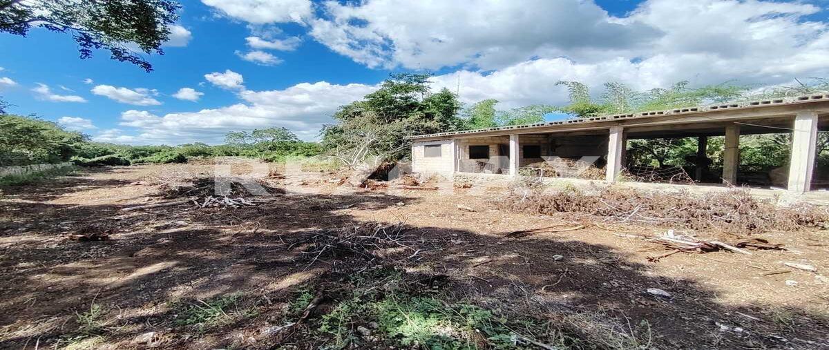 Foto de terreno habitacional en venta en 1 , dzemul, dzemul, yucatán, 0 No. 03