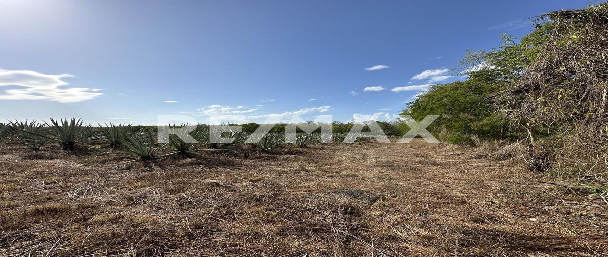 Foto de terreno habitacional en venta en 1 , dzemul, dzemul, yucatán, 0 No. 03