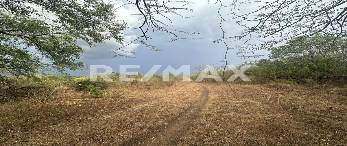 Foto de terreno habitacional en venta en 1 , dzemul, dzemul, yucatán, 0 No. 04