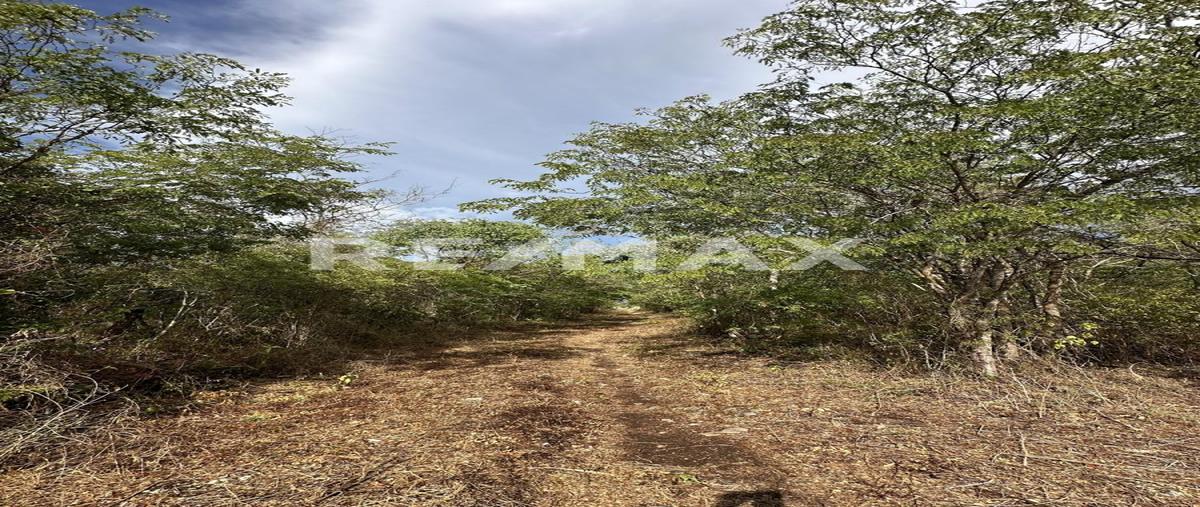 Foto de terreno habitacional en venta en 1 , dzemul, dzemul, yucatán, 0 No. 05
