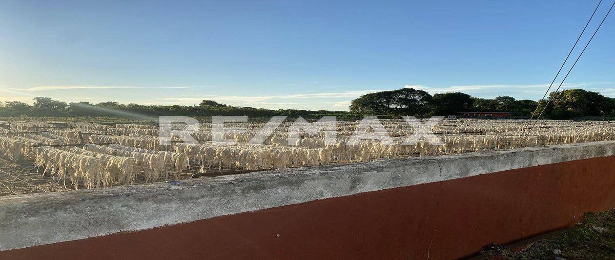 Foto de terreno habitacional en venta en 1 , dzemul, dzemul, yucatán, 0 No. 04