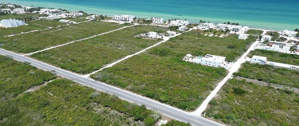 Foto de terreno habitacional en venta en 1 , dzemul, dzemul, yucatán, 0 No. 04