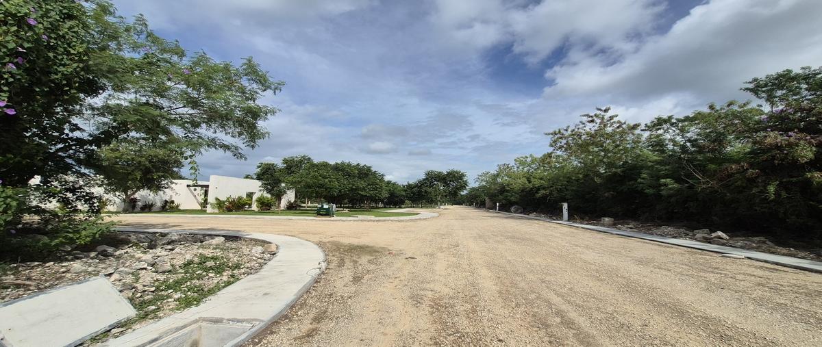 Foto de terreno habitacional en venta en 1 , dzidzantun, dzidzantún, yucatán, 0 No. 05