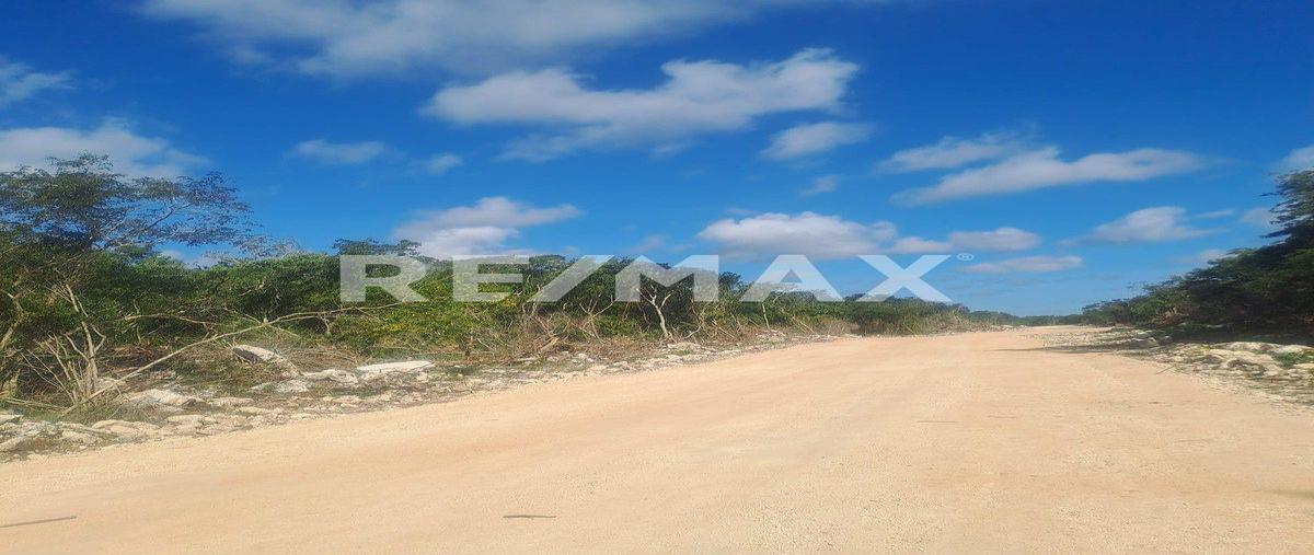 Foto de terreno habitacional en venta en 1 , dzidzantun, dzidzantún, yucatán, 0 No. 04