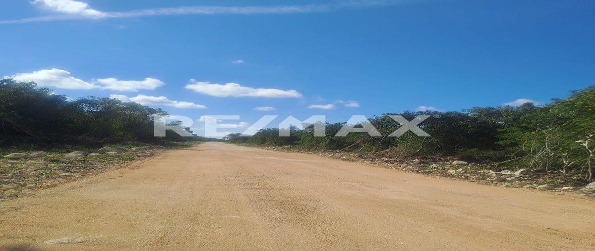 Foto de terreno habitacional en venta en 1 , dzidzantun, dzidzantún, yucatán, 0 No. 05
