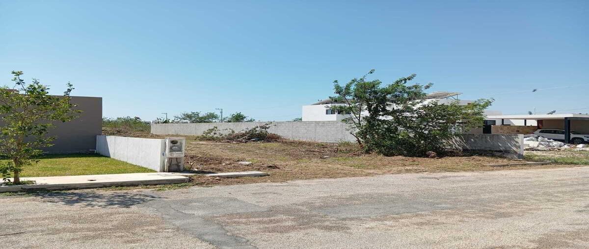 Foto de terreno habitacional en venta en 1 , dzitya, mérida, yucatán, 0 No. 03