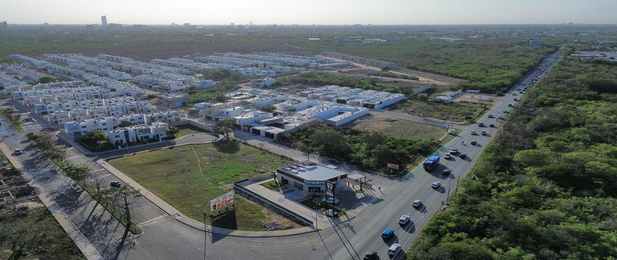 Foto de terreno habitacional en venta en 1 , dzitya, mérida, yucatán, 0 No. 04