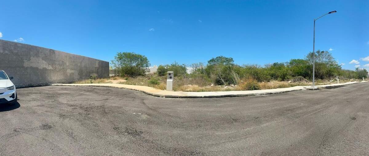 Foto de terreno habitacional en venta en 1 , dzitya, mérida, yucatán, 0 No. 05
