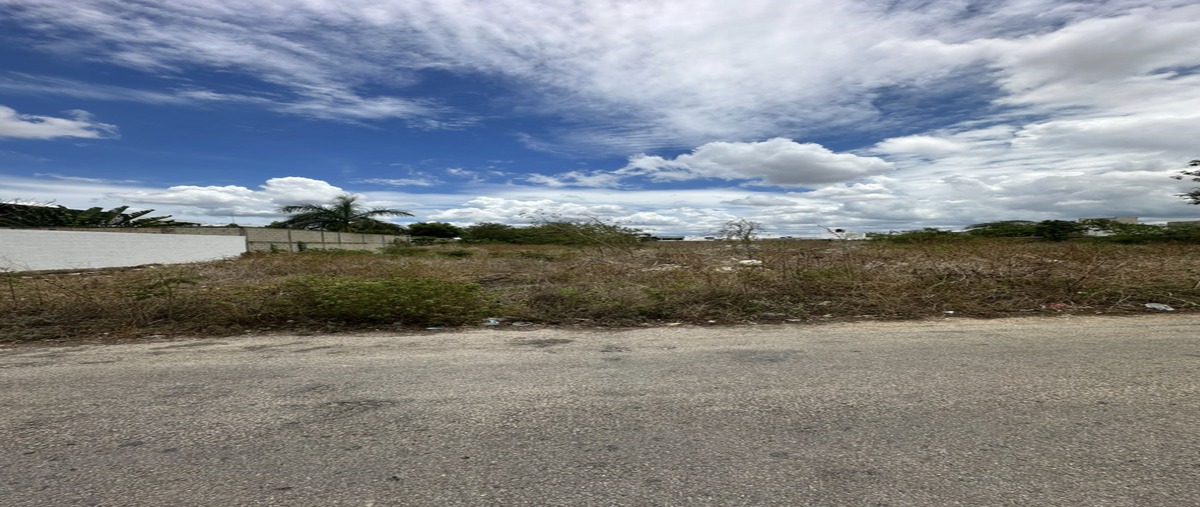 Foto de terreno habitacional en venta en 1 , dzitya, mérida, yucatán, 0 No. 04