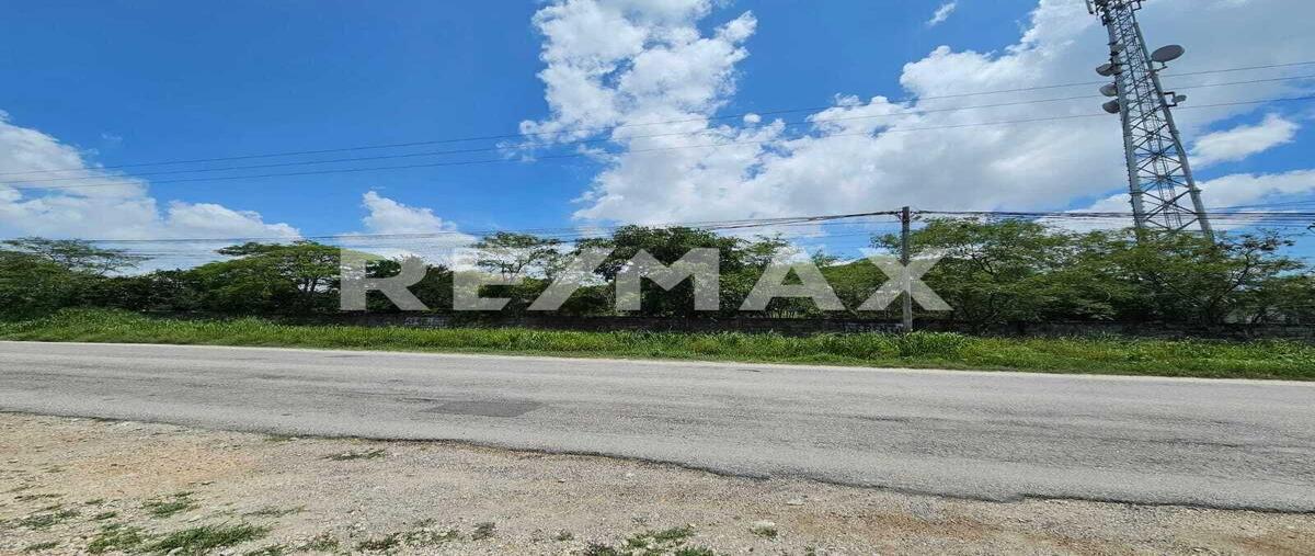 Foto de terreno habitacional en renta en 1 , dzitya, mérida, yucatán, 0 No. 05