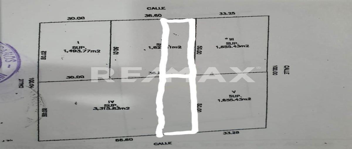 Foto de terreno habitacional en venta en 1 , dzitya, mérida, yucatán, 0 No. 04