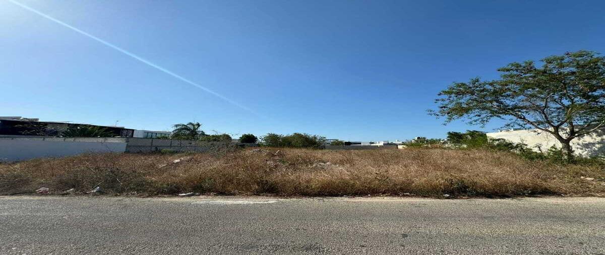 Foto de terreno habitacional en venta en 1 , dzitya, mérida, yucatán, 30593316 No. 04