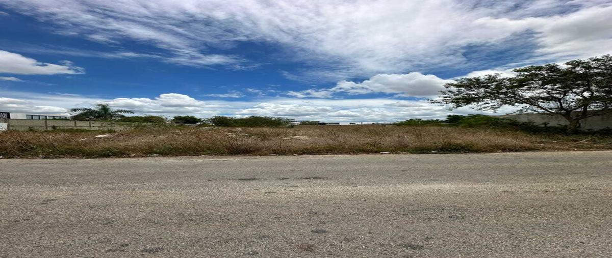Foto de terreno habitacional en venta en 1 , dzitya, mérida, yucatán, 30593316 No. 05