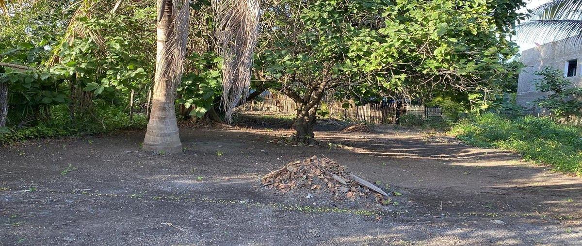 Foto de terreno habitacional en venta en 1 , el cuyo, tizimín, yucatán, 30876460 No. 05