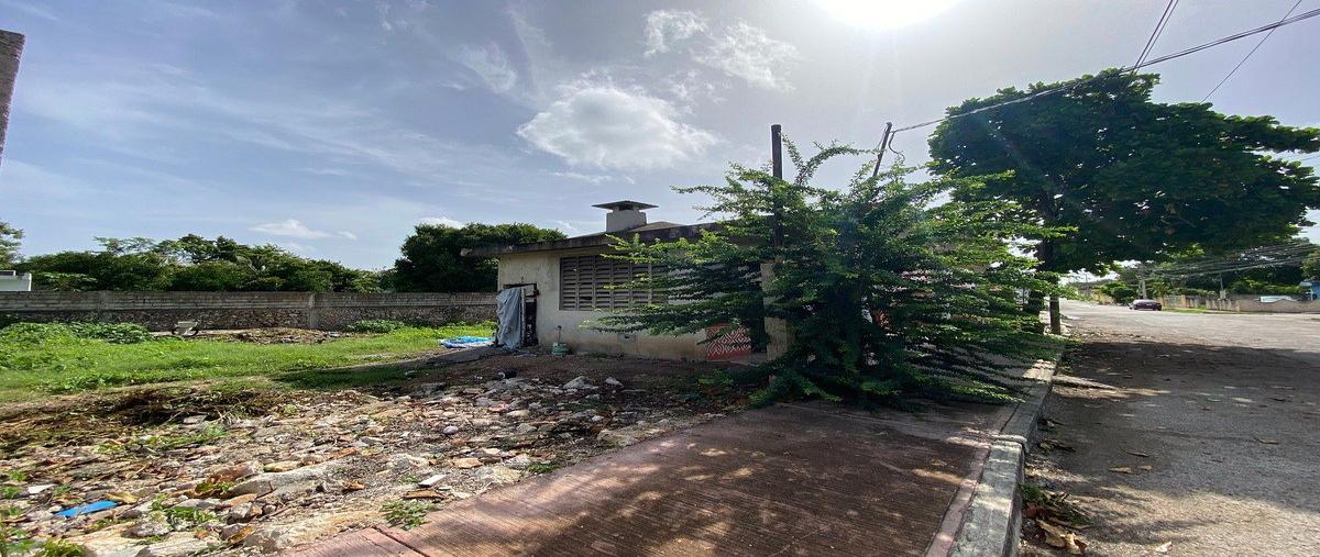 Foto de terreno comercial en 1 , el roble, mérida, yucatán, 0 foto 03 Foto de terreno comercial en venta en 1 , el roble, mérida, yucatán, 0 No. 03