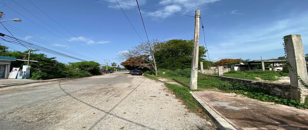 Foto de terreno comercial en 1 , el roble, mérida, yucatán, 31583456 foto 04 Foto de terreno comercial en venta en 1 , el roble, mérida, yucatán, 31583456 No. 04