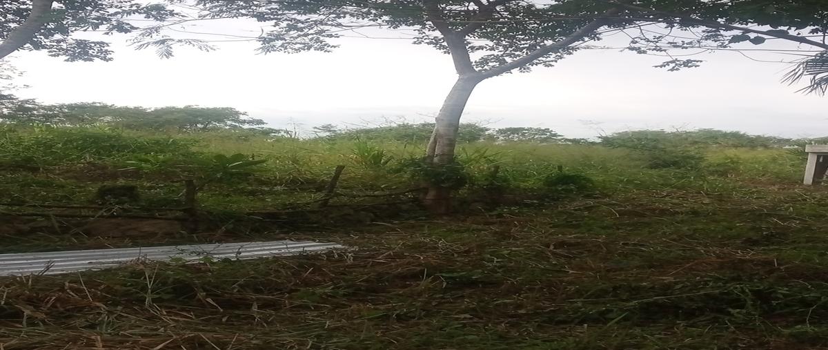 Foto de rancho en venta en 1 , espita, espita, yucatán, 27681216 No. 04