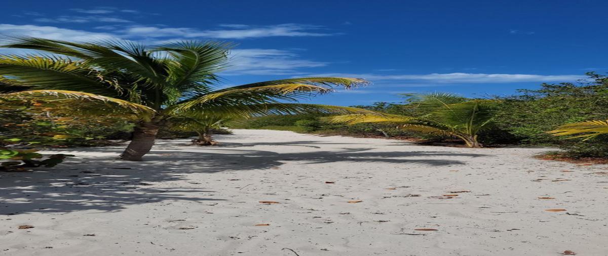 Foto de terreno habitacional en venta en 1 , felipe carrillo puerto nte, mérida, yucatán, 0 No. 03