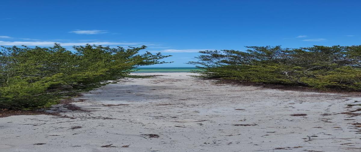 Foto de terreno habitacional en venta en 1 , felipe carrillo puerto nte, mérida, yucatán, 0 No. 05