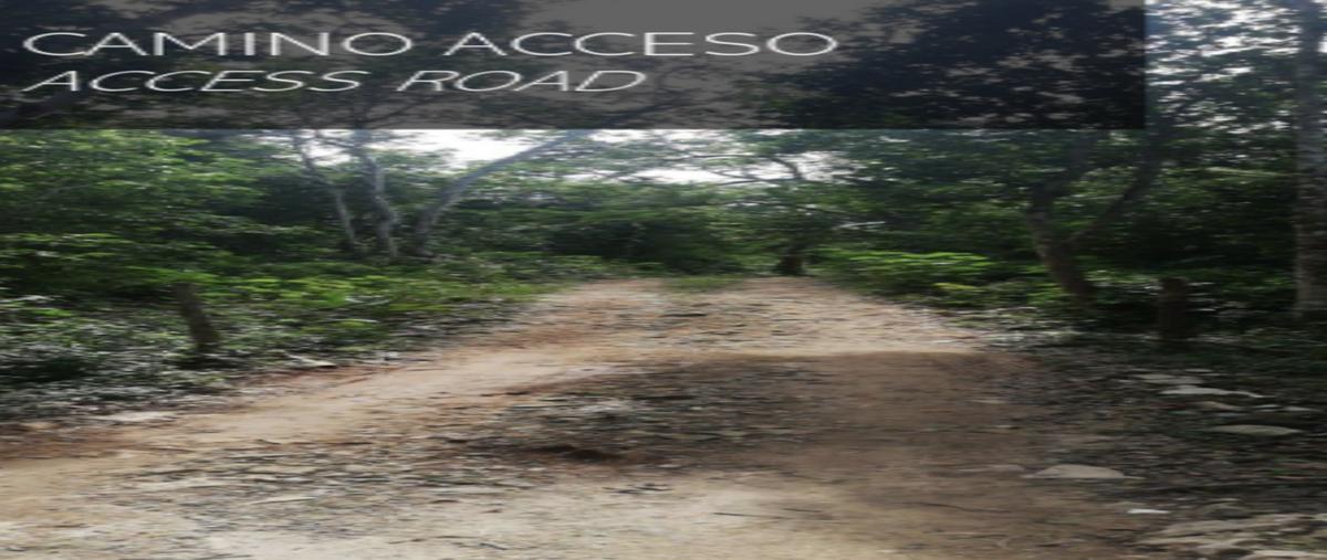 Foto de terreno habitacional en venta en 1 , francisco uh-may, tulum, quintana roo, 25657551 No. 03