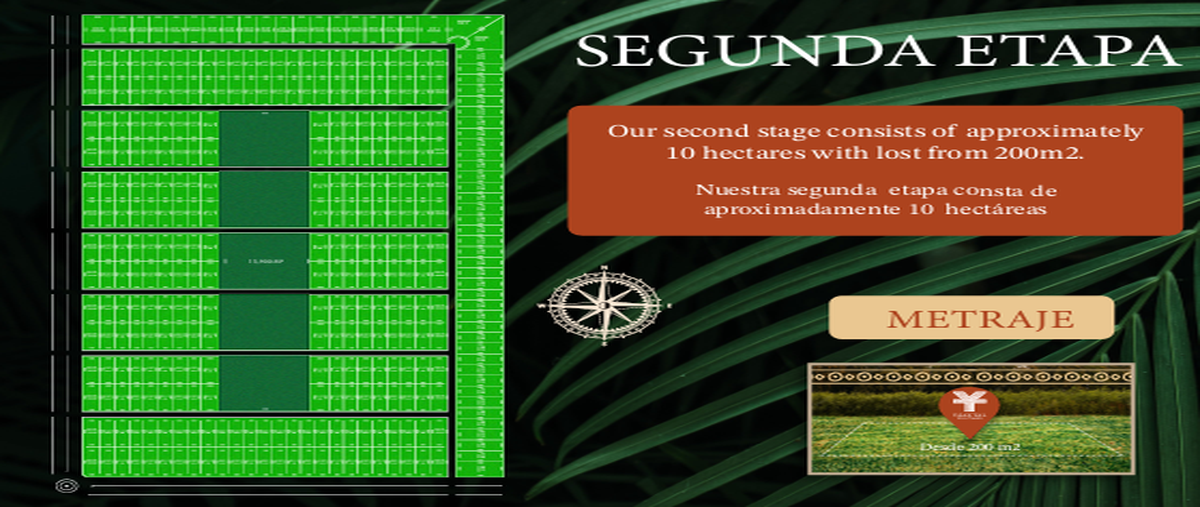 Foto de terreno habitacional en venta en 1 , francisco uh-may, tulum, quintana roo, 0 No. 03