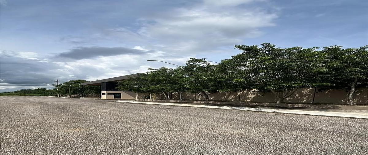 Foto de terreno industrial en venta en 1 , hunkanab, hunucmá, yucatán, 0 No. 04