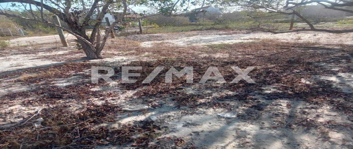 Foto de terreno habitacional en venta en 1 , isla de holbox, lázaro cárdenas, quintana roo, 0 No. 05