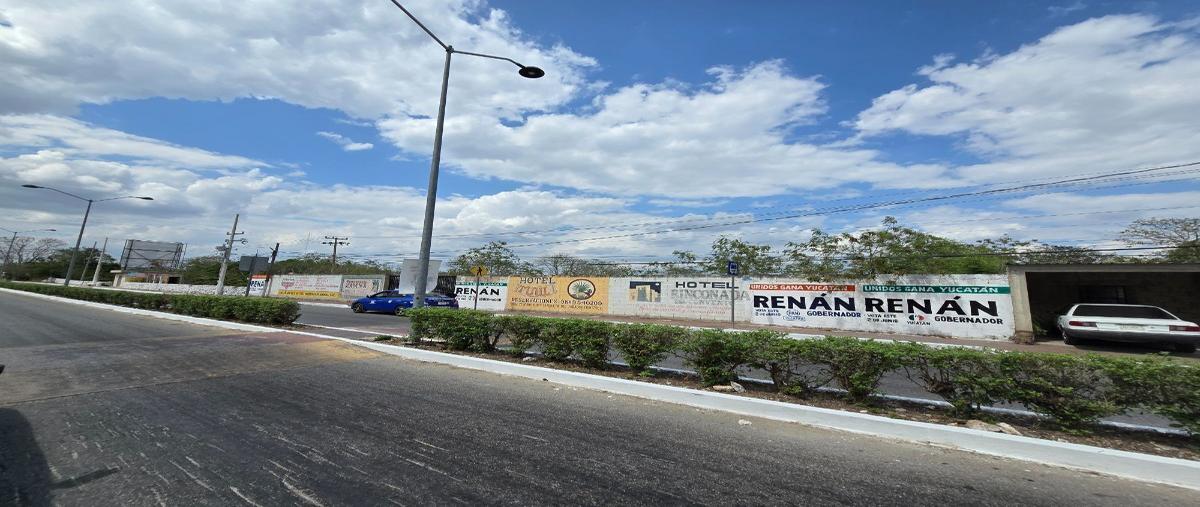 Foto de terreno habitacional en 1 , izamal, izamal, yucatán, 27883566 foto 04 Foto de terreno habitacional en renta en 1 , izamal, izamal, yucatán, 27883566 No. 04