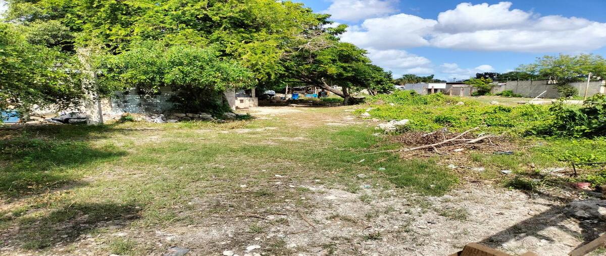 Foto de terreno habitacional en 1 , juan pablo ii, mérida, yucatán, 30463710 foto 02 Foto de terreno habitacional en venta en 1 , juan pablo ii, mérida, yucatán, 30463710 No. 02