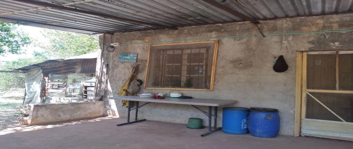 Foto de rancho en venta en 1 , kanasin, kanasín, yucatán, 26543796 No. 03