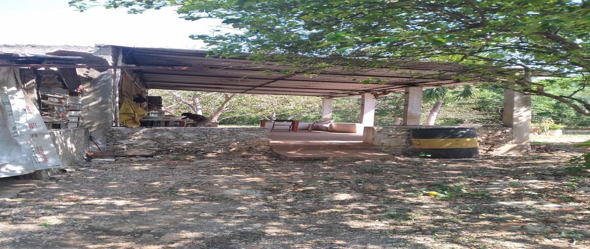 Foto de rancho en venta en 1 , kanasin, kanasín, yucatán, 26543796 No. 04