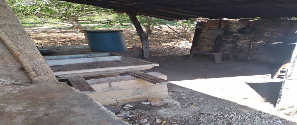 Foto de rancho en venta en 1 , kanasin, kanasín, yucatán, 26543796 No. 05