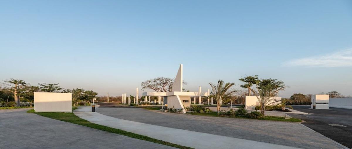 Foto de terreno habitacional en venta en 1 , kiktel, mérida, yucatán, 30471705 No. 03