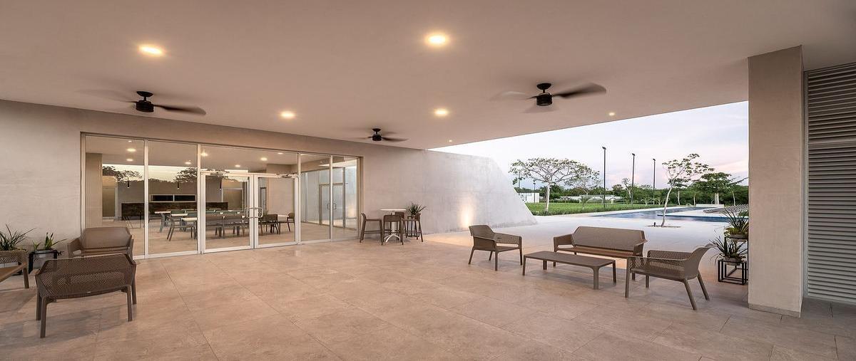 Foto de terreno habitacional en venta en 1 , kiktel, mérida, yucatán, 30970360 No. 04