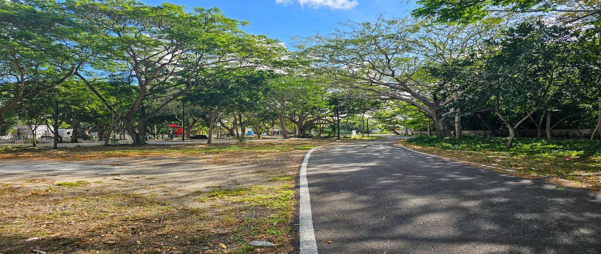 Foto de terreno habitacional en venta en 1 , komchen, mérida, yucatán, 29904259 No. 03