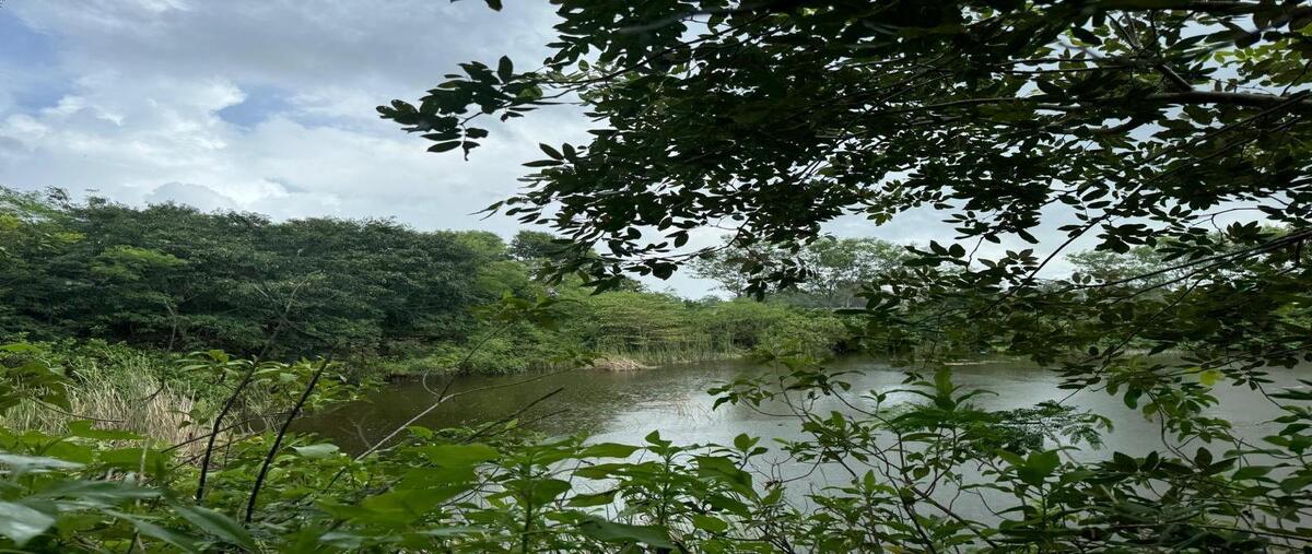 Foto de terreno habitacional en venta en 1 , komchen, mérida, yucatán, 30540844 No. 04