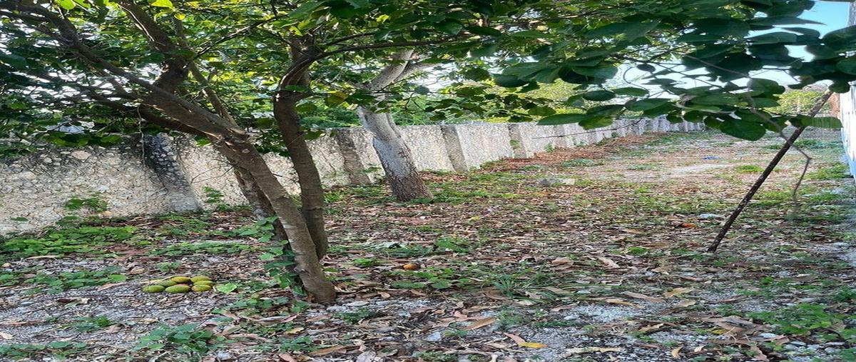 Foto de casa en venta en 1 , komchen, mérida, yucatán, 0 No. 06