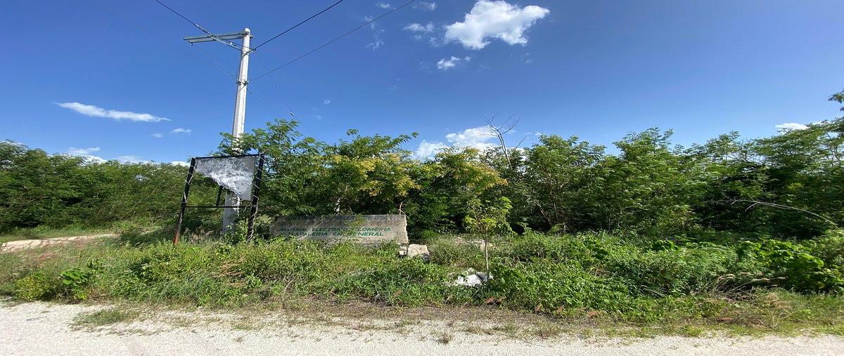 Foto de terreno habitacional en venta en 1 , komchen, mérida, yucatán, 31718328 No. 03