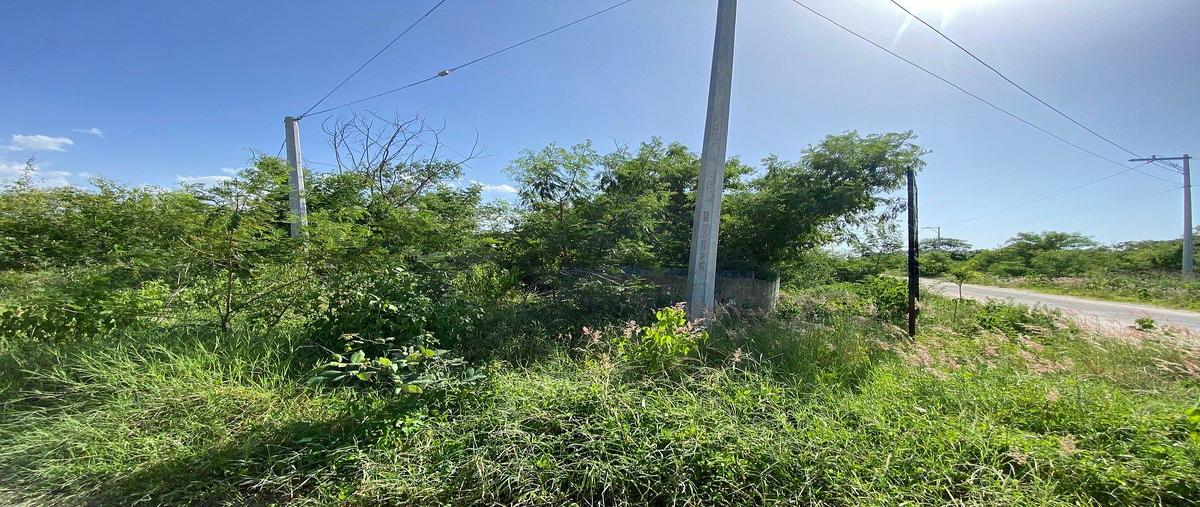 Foto de terreno habitacional en venta en 1 , komchen, mérida, yucatán, 31718328 No. 04