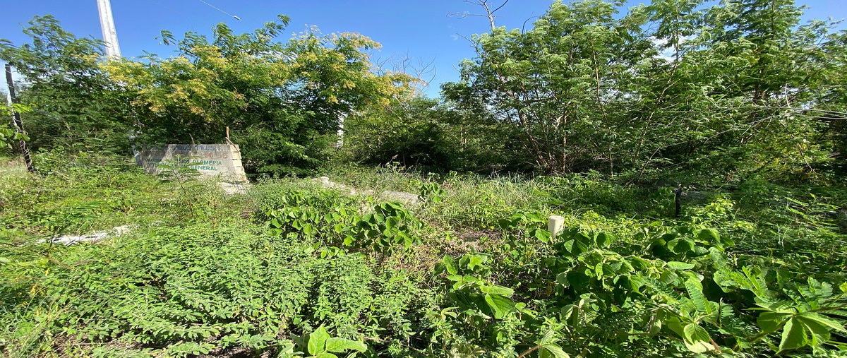 Foto de terreno habitacional en venta en 1 , komchen, mérida, yucatán, 31718328 No. 05