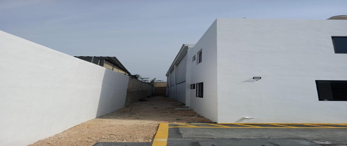 Foto de bodega en renta en 1 , la guadalupana, mérida, yucatán, 29959266 No. 05