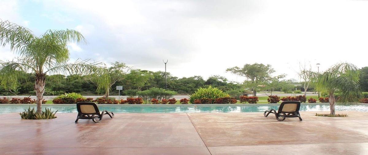 Foto de terreno habitacional en venta en 1 , la rejoyada, mérida, yucatán, 30681343 No. 05