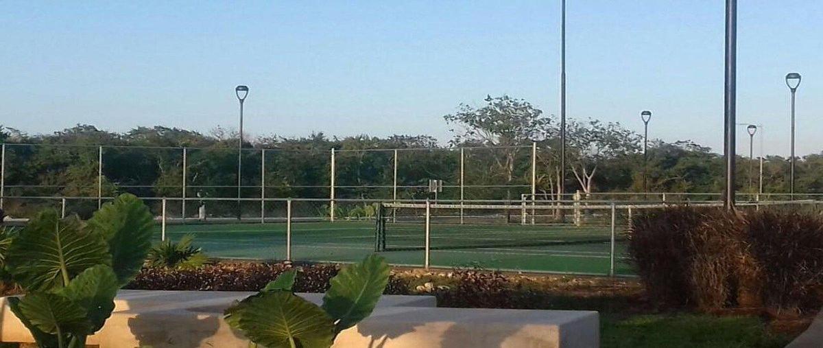 Foto de terreno habitacional en venta en 1 , la rejoyada, mérida, yucatán, 30695104 No. 05