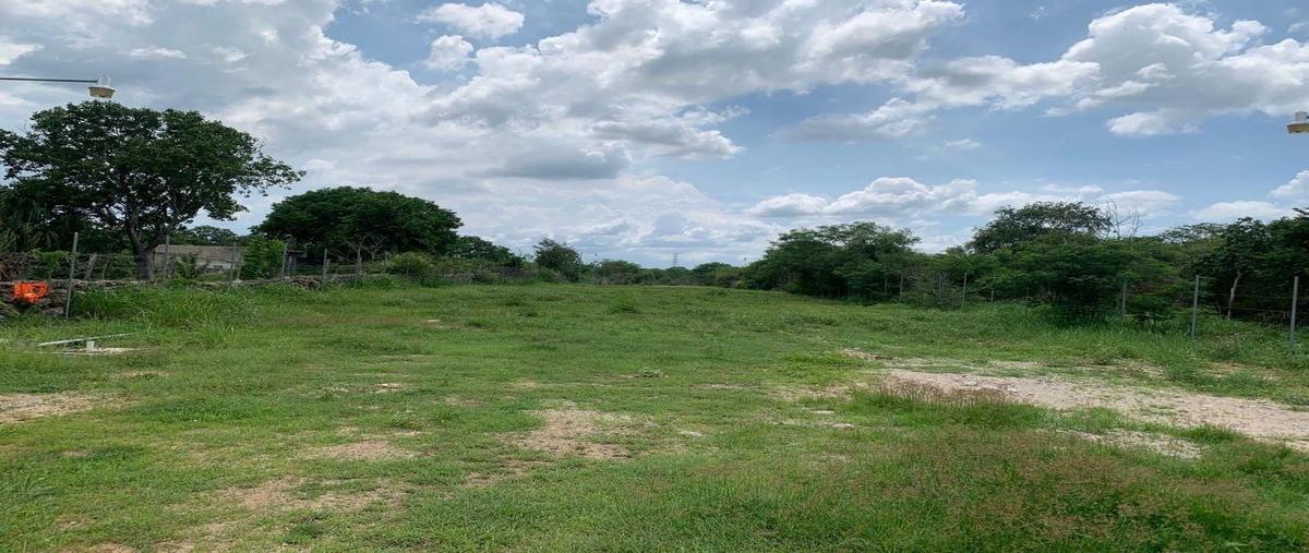 Foto de terreno habitacional en renta en 1 , mérida, mérida, yucatán, 28942552 No. 05